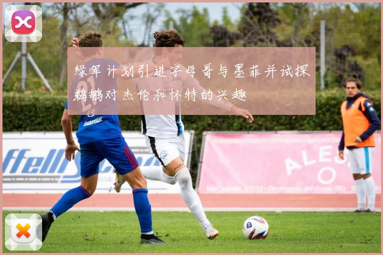 绿军计划引进字母哥与墨菲并试探鹈鹕对杰伦和怀特的兴趣